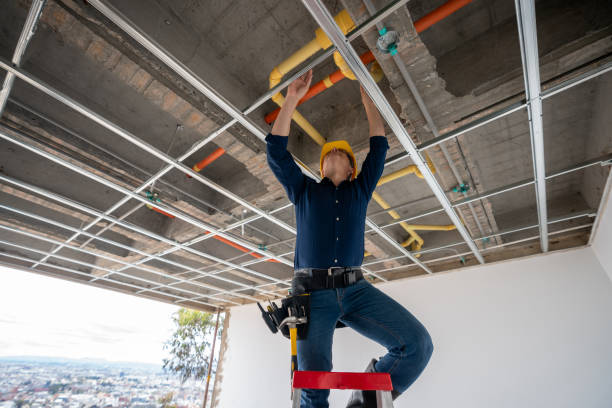 Best Plumbing Inspection Services  in Kenton, TN