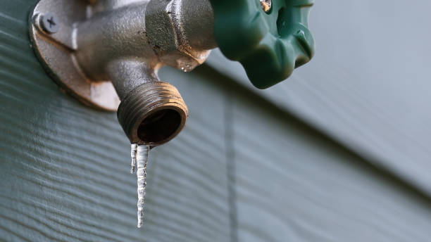 Best Drain Cleaning Services  in Kenton, TN